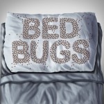 (5 liter) Semprotan Pembasmi Kumbang Kasur NOPE CP - Perawatan tidak berbau dan tidak bernoda, cocok untuk kasur, rangka tempat tidur, karpet, dan furnitur.